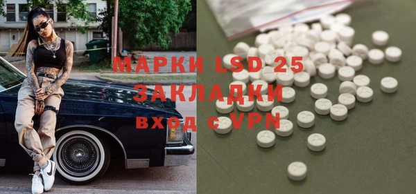 ECSTASY Алзамай