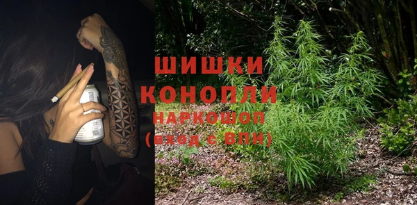 ECSTASY Алзамай